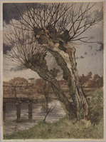 KG 09759
<br/>
Knotwilgen aan een sloot
<br/>
<em>Grootens, Adrianus Johannes (1864-1957)</em>